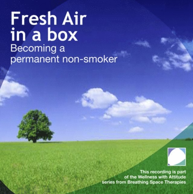 Annie Lawler - Fresh air in a box, Ljudbok