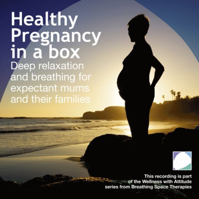 Annie Lawler - Healthy pregnancy in a box, Ljudbok