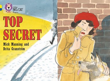 Mick Manning, Brita Granström - Top Secret, Häftad