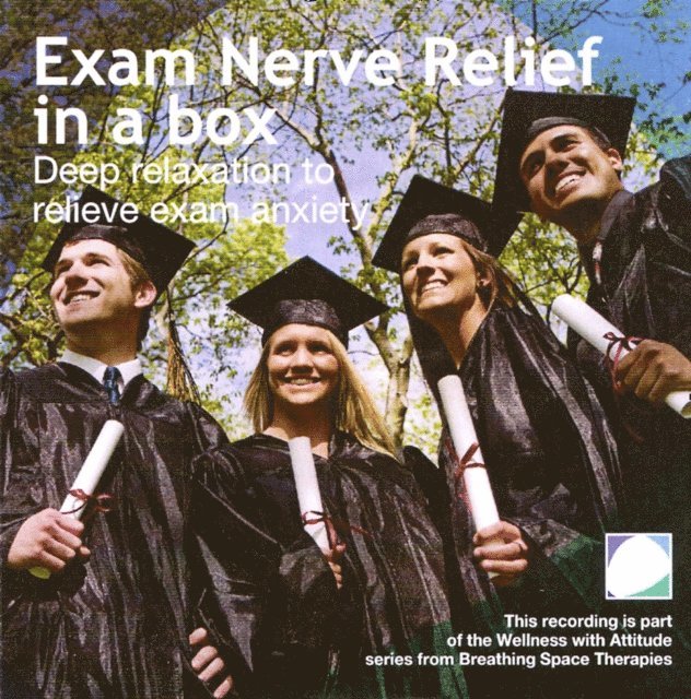 Annie Lawler - Exam nerve relief in a box, Ljudbok
