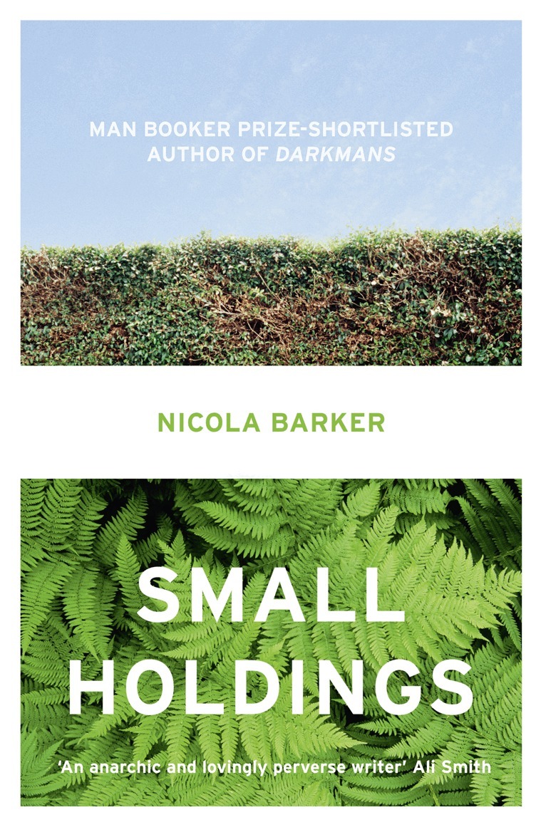 Nicola Barker - Small Holdings, E-bok