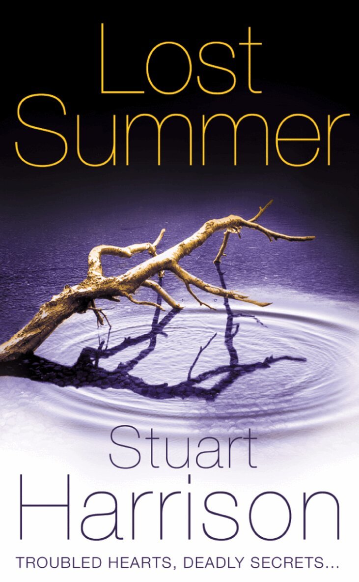 Stuart Harrison - Lost Summer, E-bok. Tillgänglighet: Lägg i varukorg
