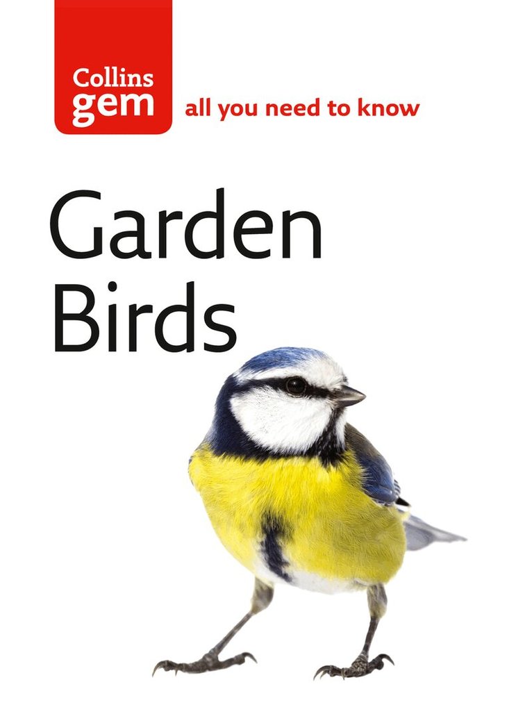 Stephen Moss - Garden Birds, E-bok