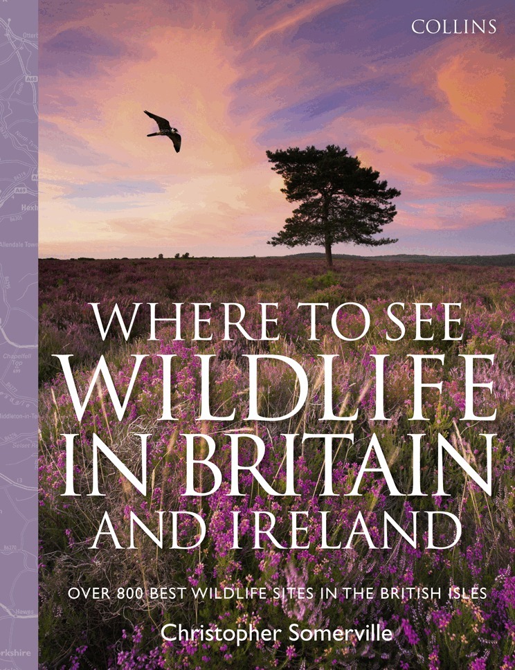 Christopher Somerville - Collins Where to See Wildlife in Britain and Ireland, E-bok