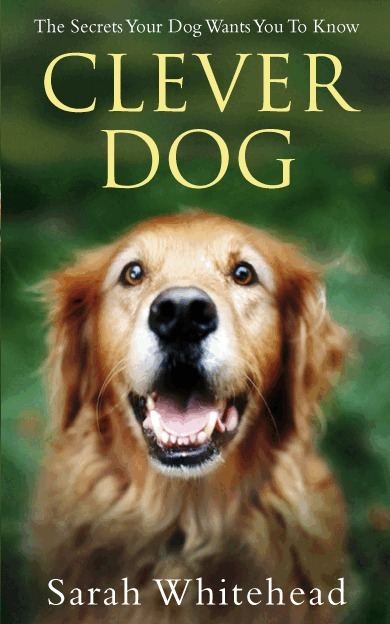 Sarah Whitehead - Clever Dog, E-bok