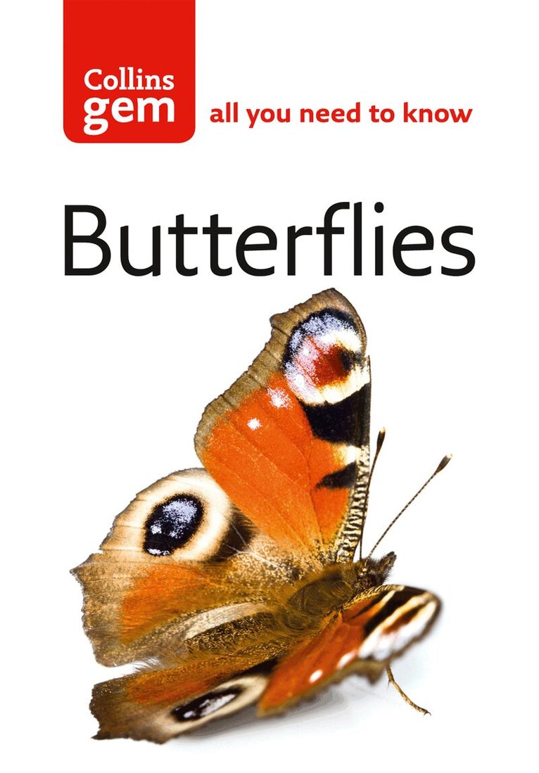 Michael Chinery - Butterflies, E-bok