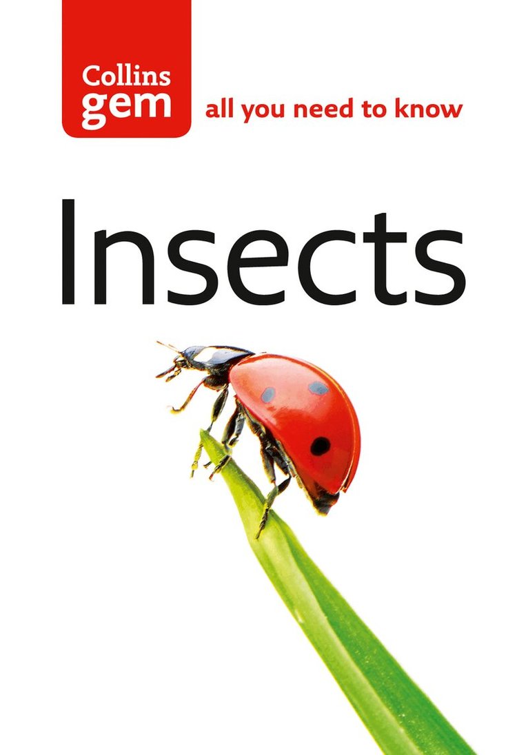 Michael Chinery - Insects, E-bok