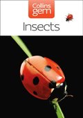 Insects