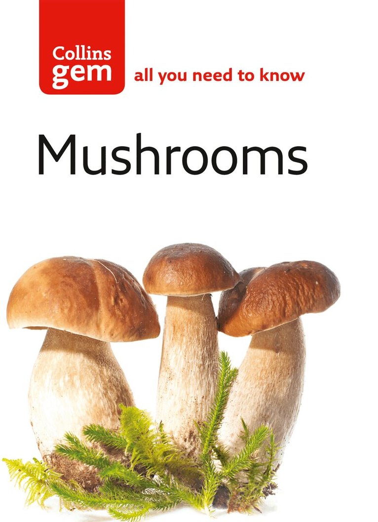 Patrick Harding - Mushrooms, E-bok