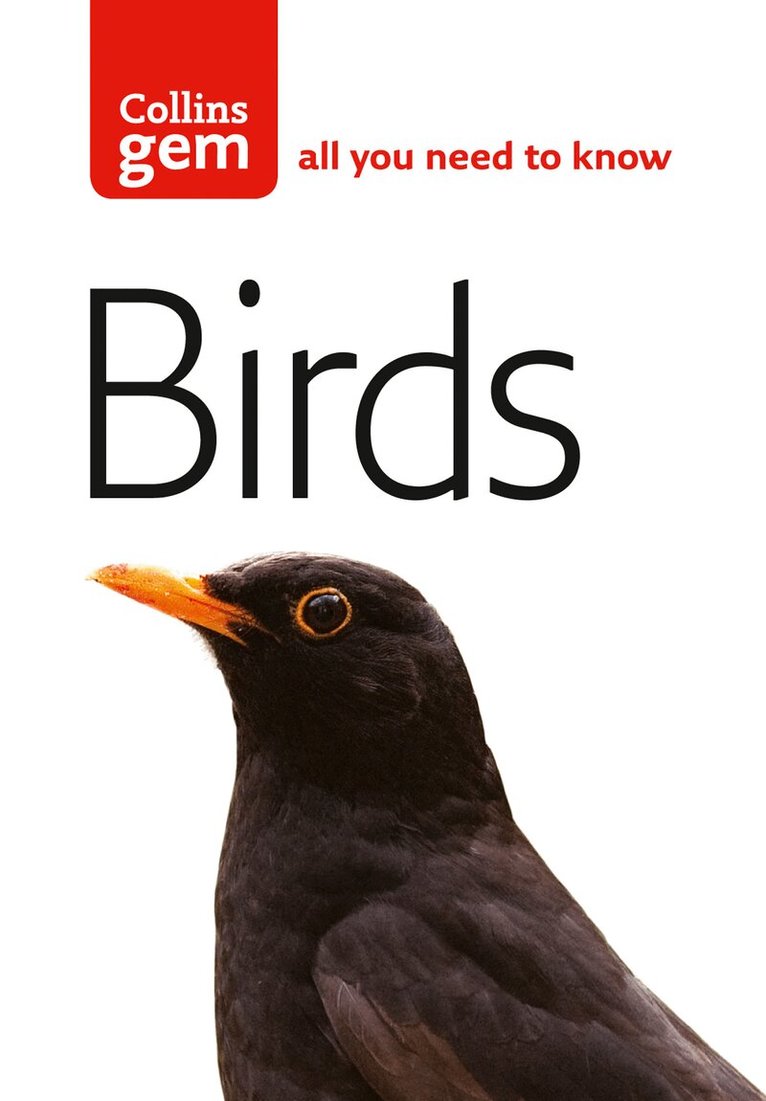 Jim Flegg - Birds, E-bok