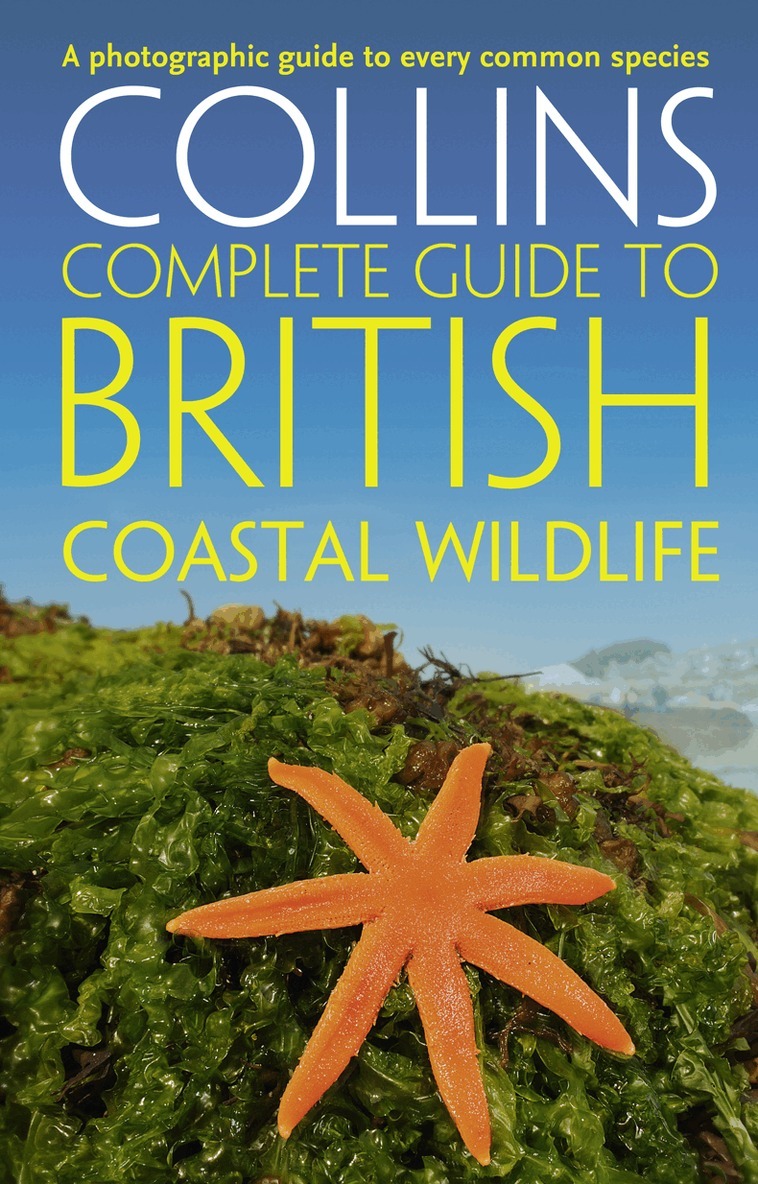 Paul Sterry, Andrew Cleave - British Coastal Wildlife, E-bok