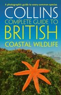 British Coastal Wildlife