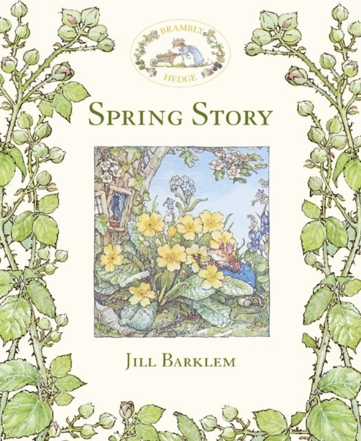 Jill Barklem - Spring Story (Read Aloud), E-bok