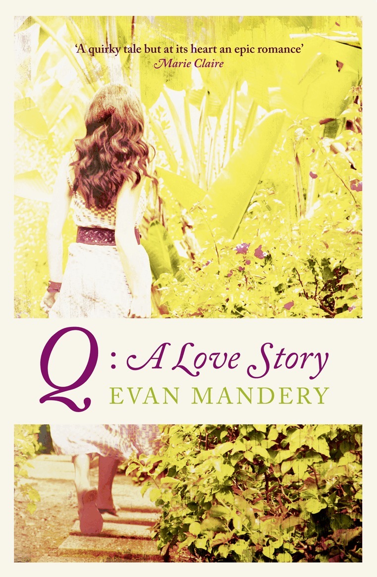Evan Mandery - Q, E-bok. Tillgänglighet: Lägg i varukorg