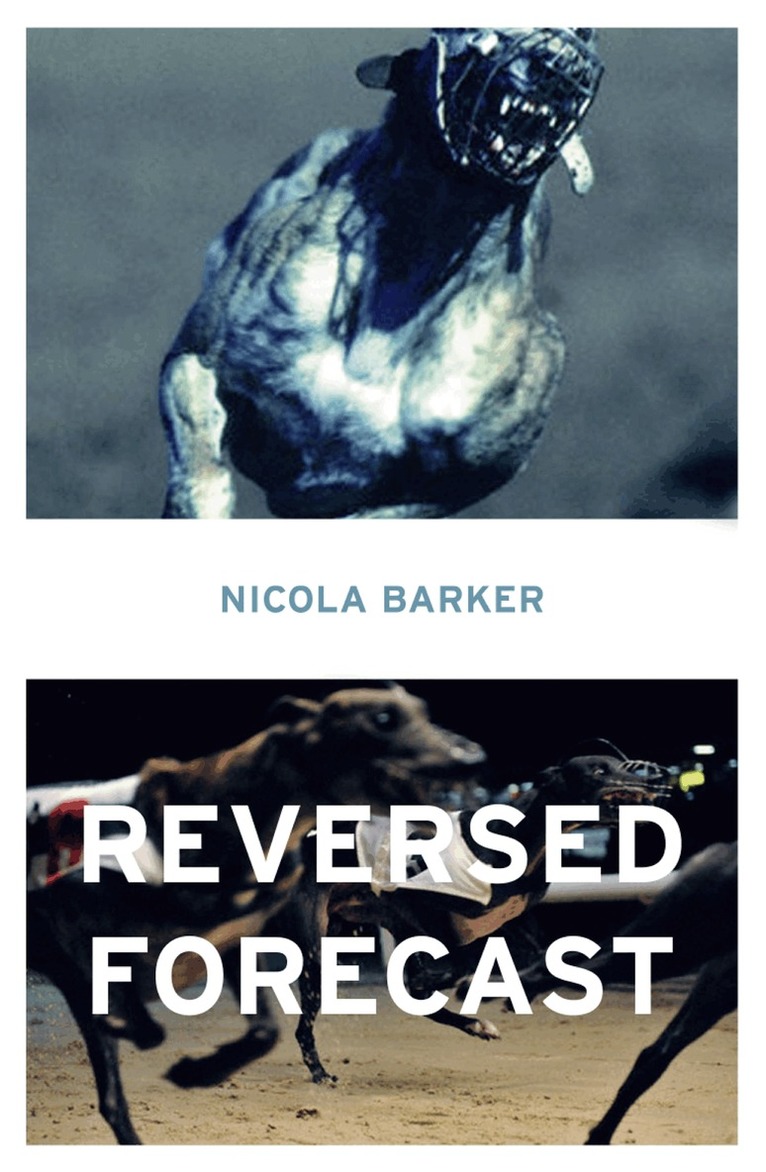 Nicola Barker - Reversed Forecast, E-bok