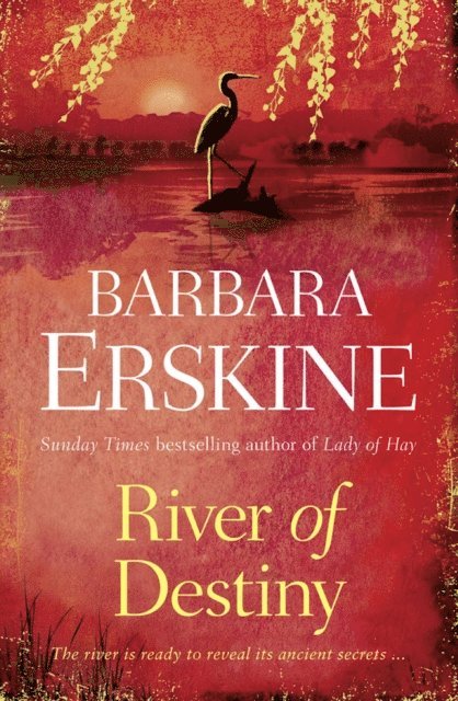 Barbara Erskine - River of Destiny, E-bok