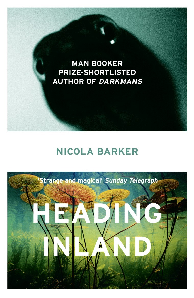Nicola Barker - Heading Inland, E-bok
