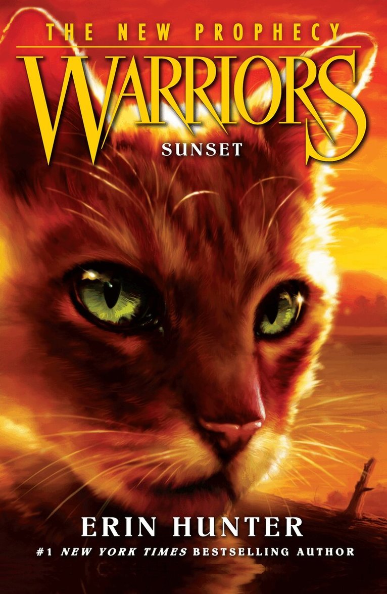 Erin Hunter - SUNSET, E-bok