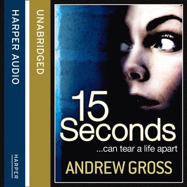Andrew Gross - 15 Seconds, Ljudbok