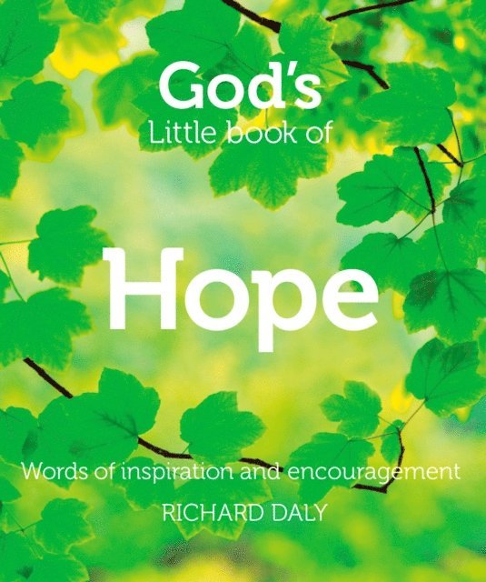 Richard Daly - God’s Little Book of Hope, E-bok