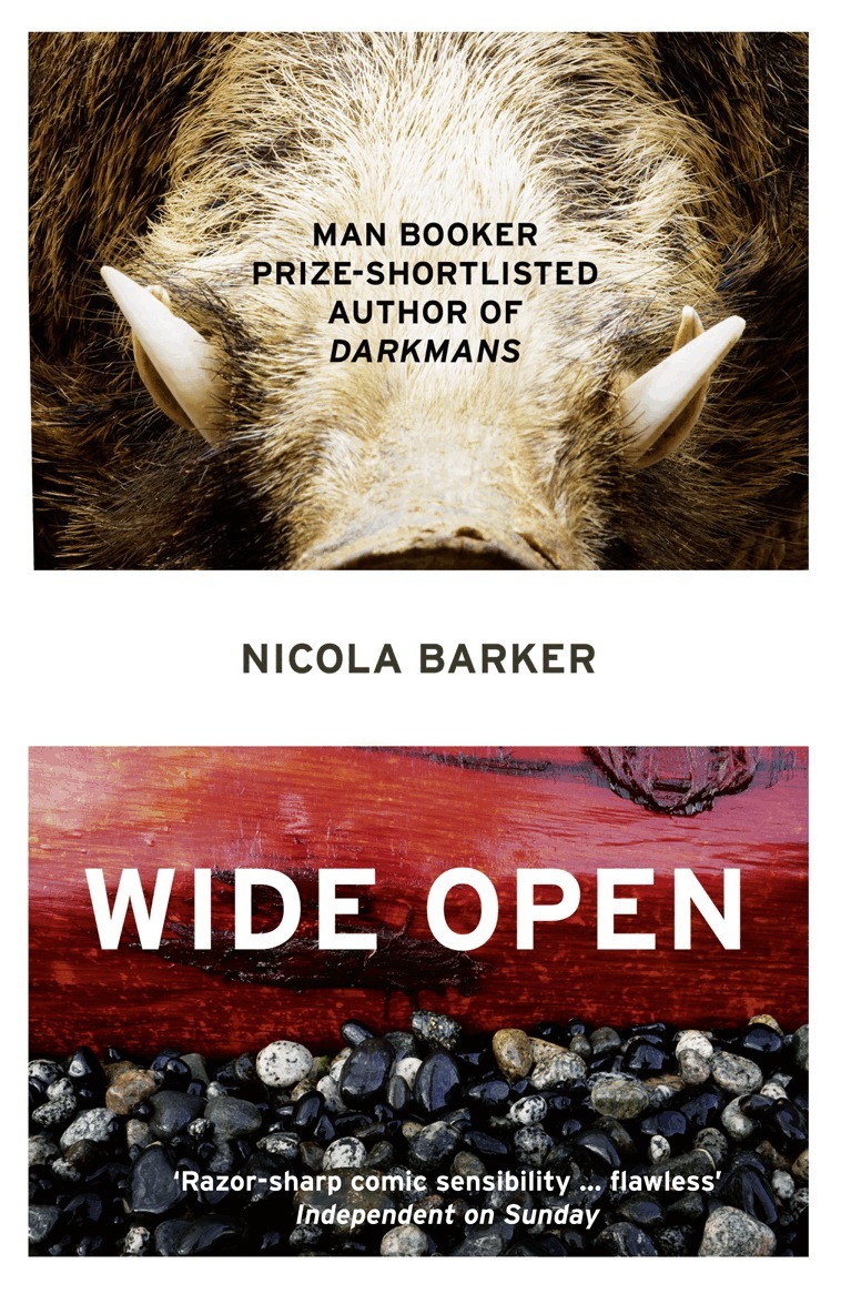 Nicola Barker - Wide Open, E-bok