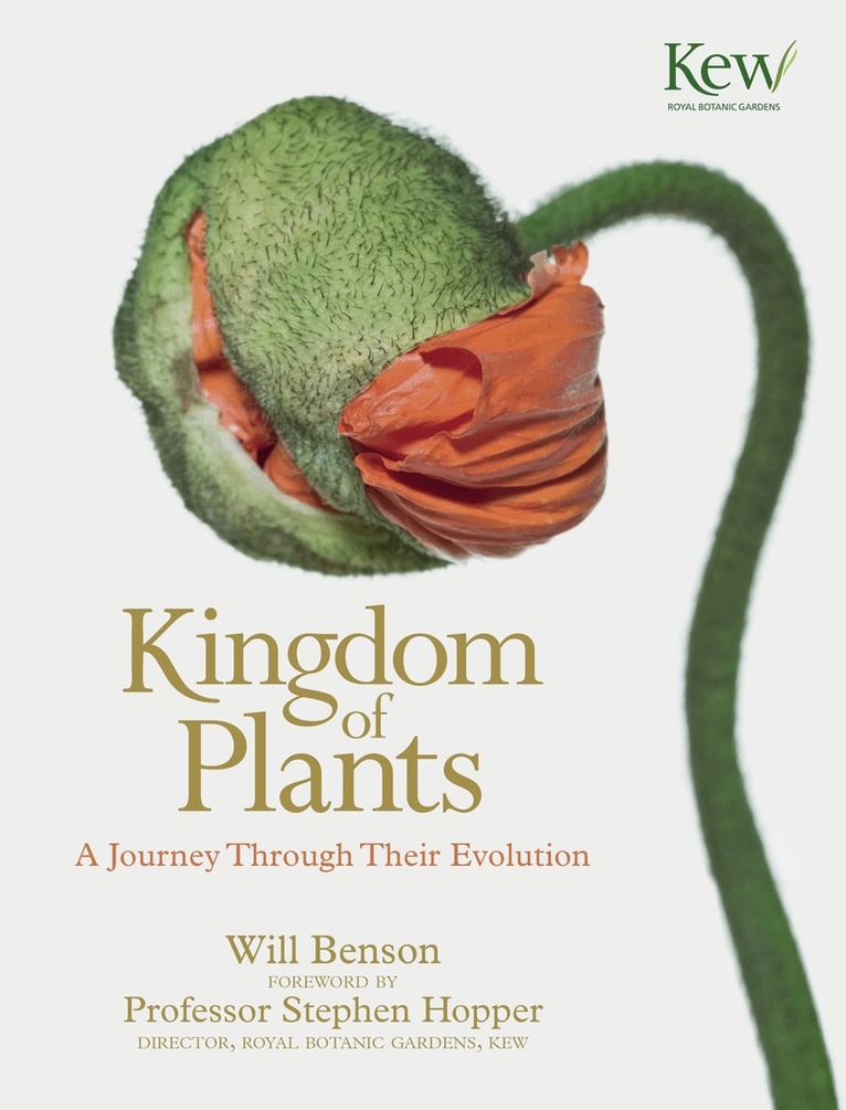Kingdom of Plants