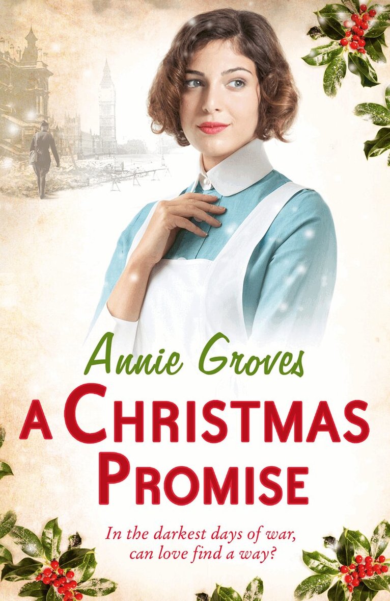 Annie Groves - Christmas Promise, E-bok