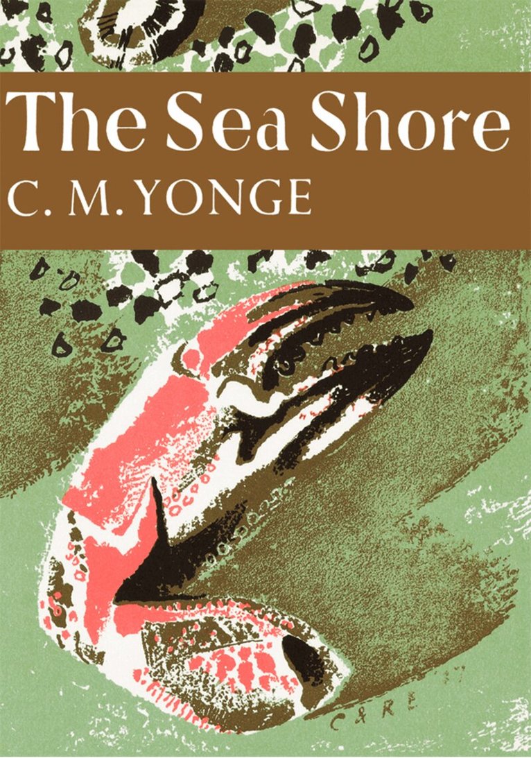 Sea Shore