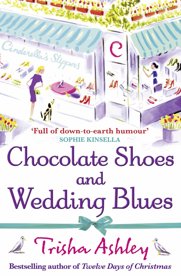 Trisha Ashley - Chocolate Shoes and Wedding Blues, E-bok
