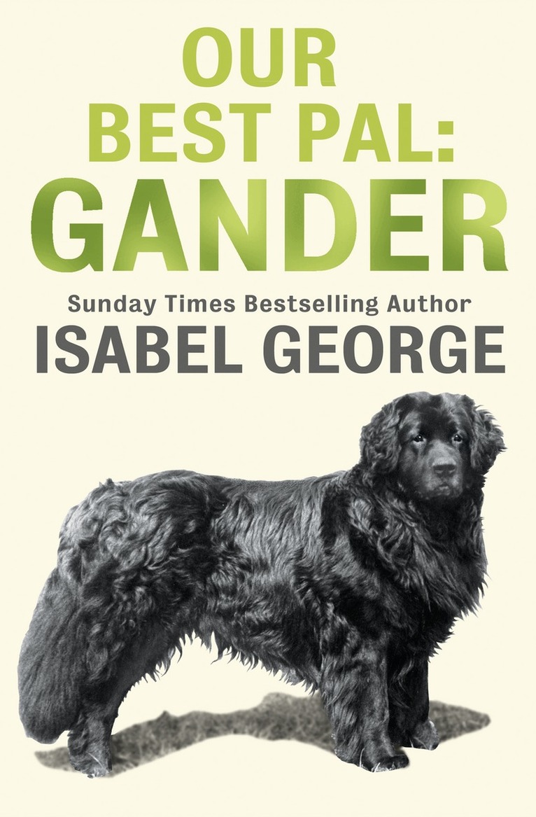 Isabel George - Our Best Pal: Gander, E-bok