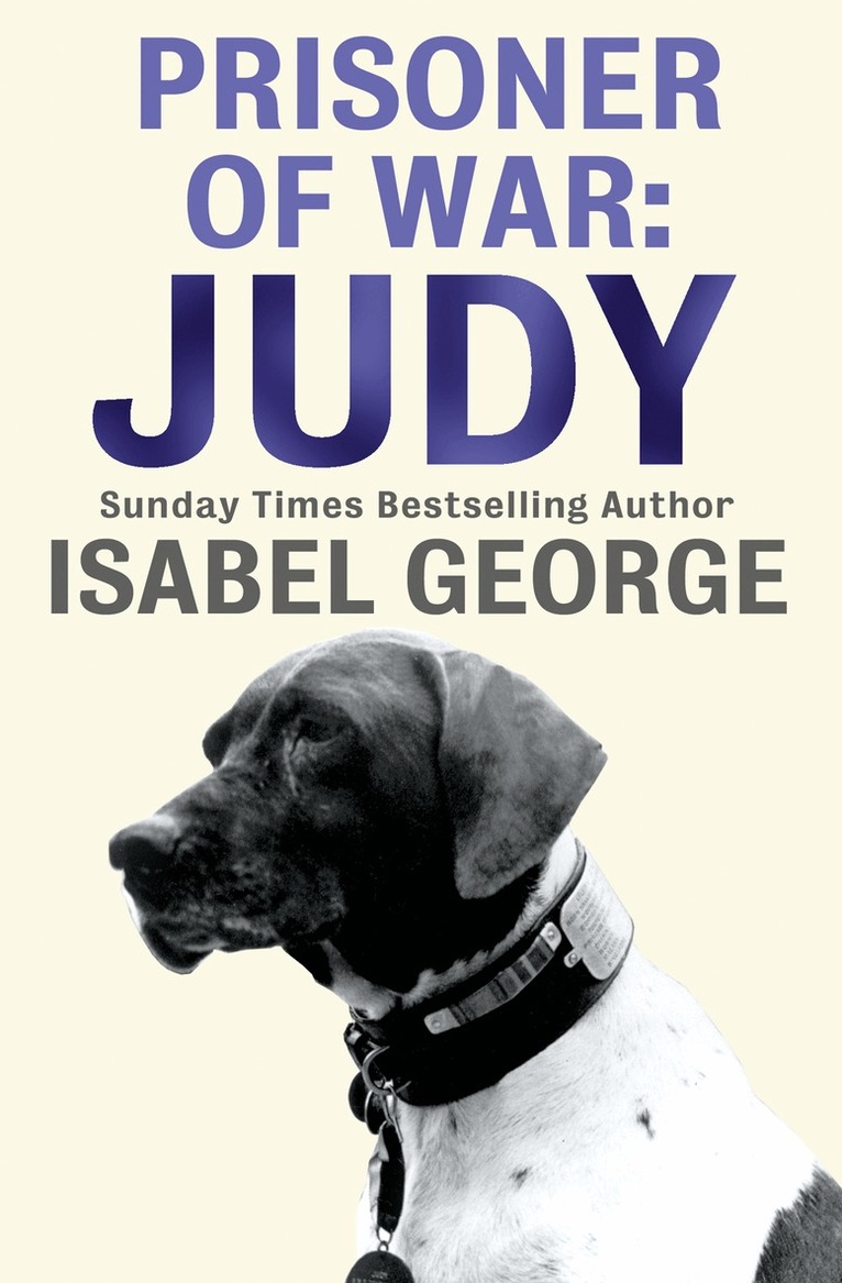 Isabel George - Prisoner of War: Judy, E-bok