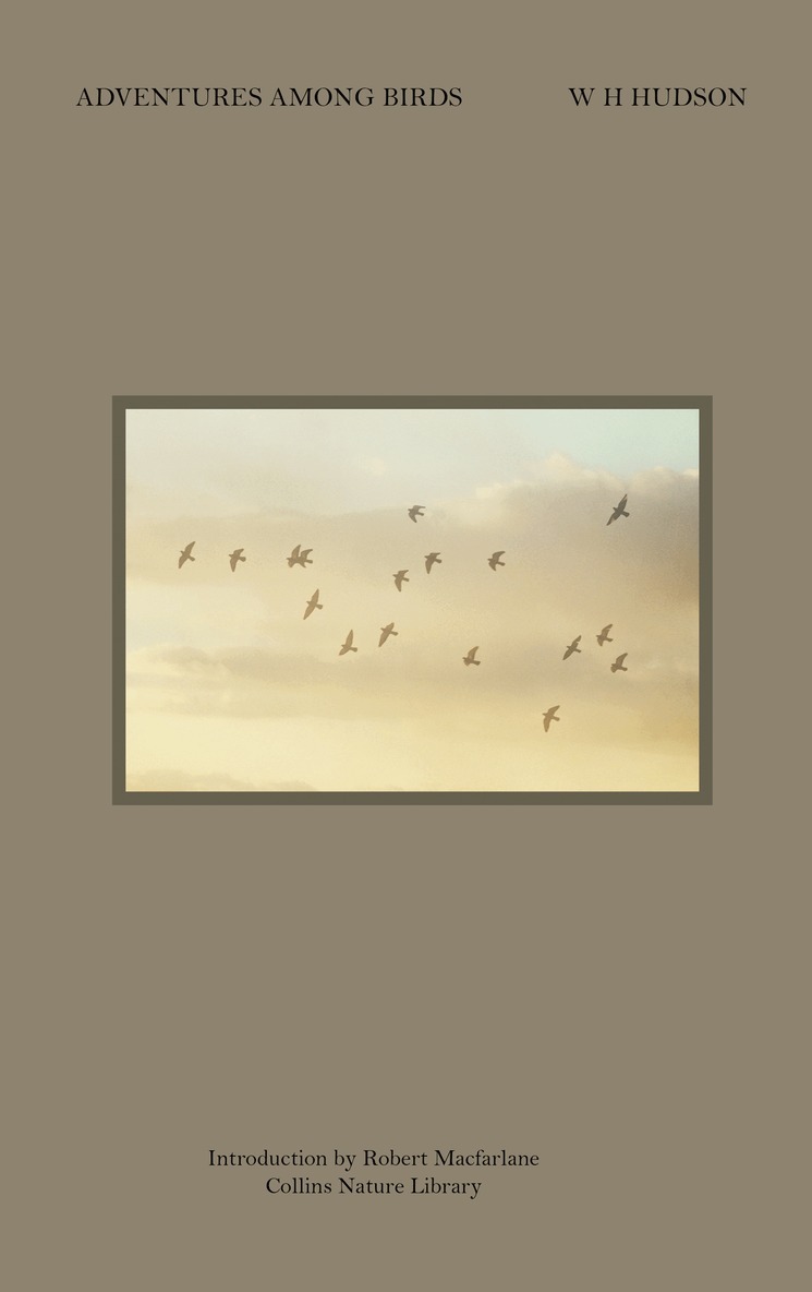 W.H. Hudson - Adventures Among Birds, E-bok