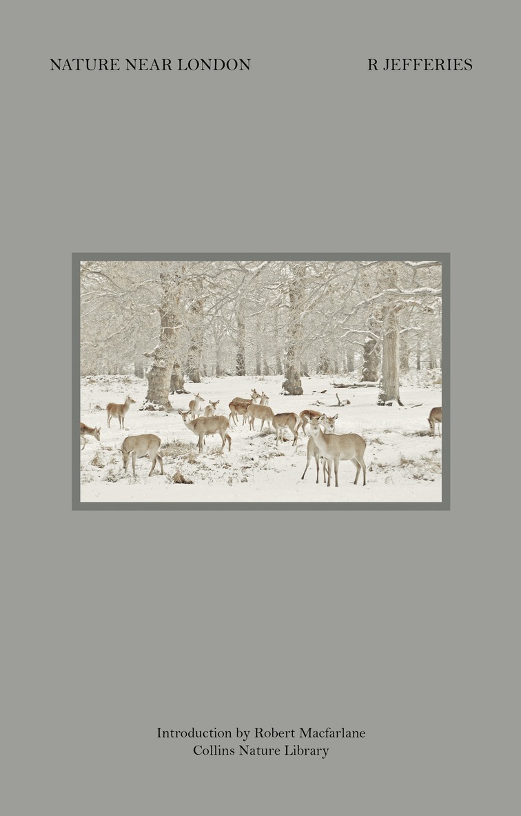 Richard Jefferies - Nature Near London, E-bok