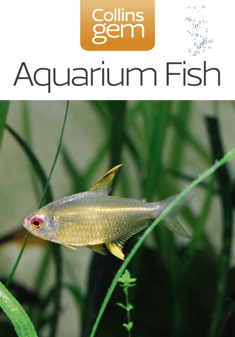 Aquarium Fish, E-bok