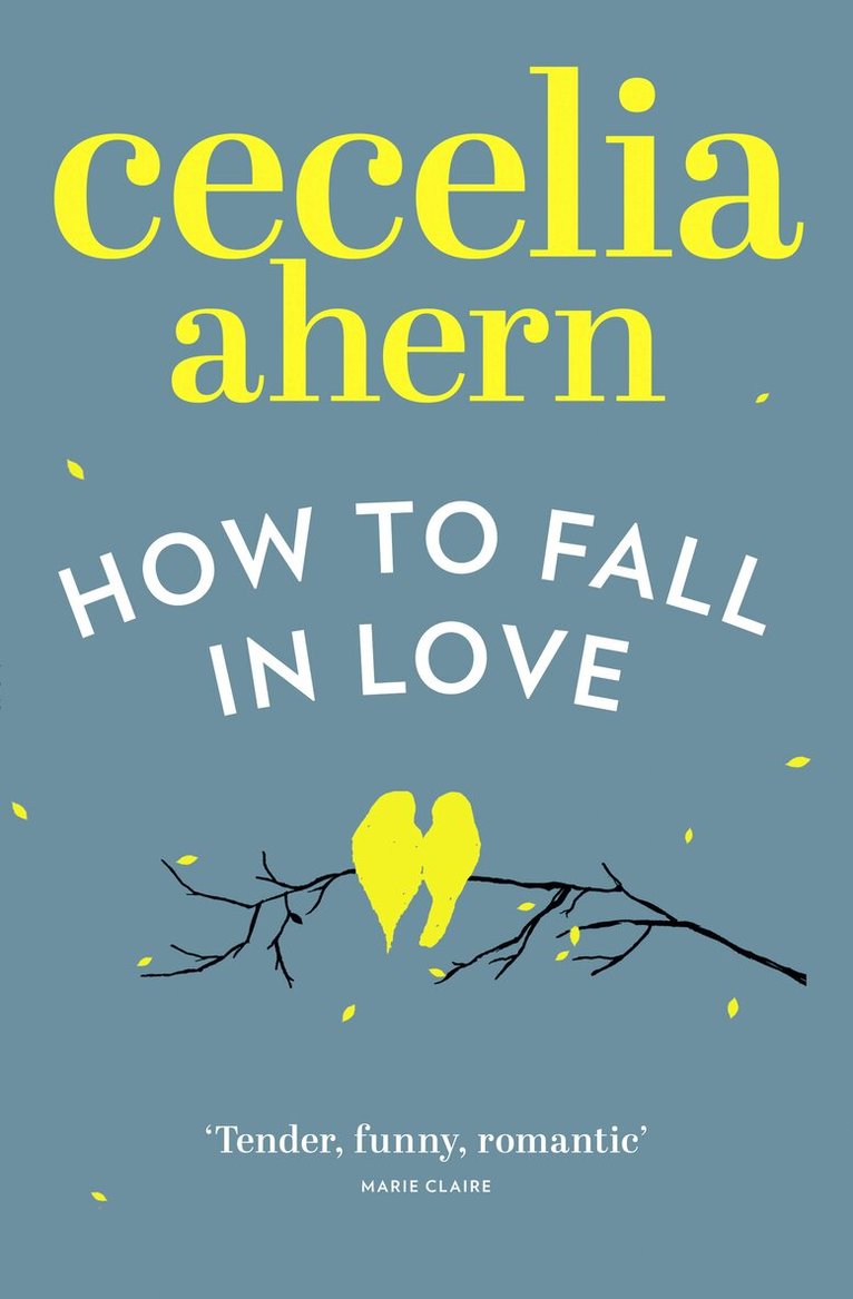 Cecelia Ahern - How to Fall in Love, E-bok