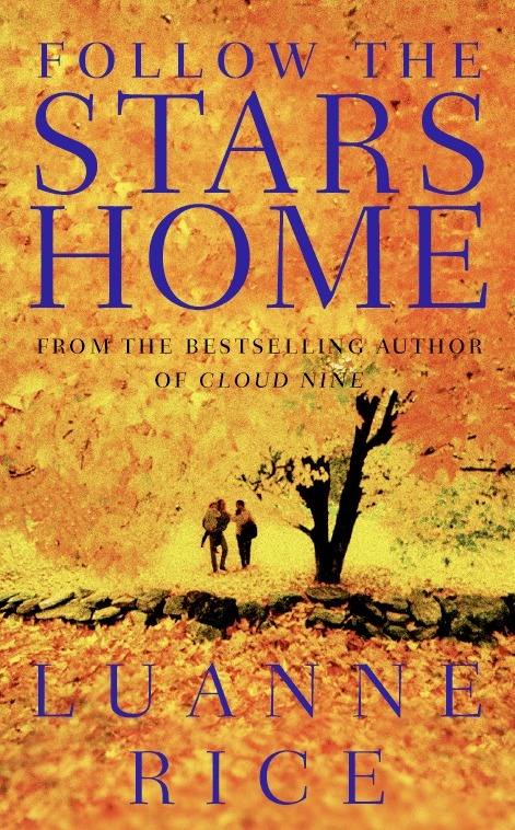 Luanne Rice - Follow the Stars Home, E-bok