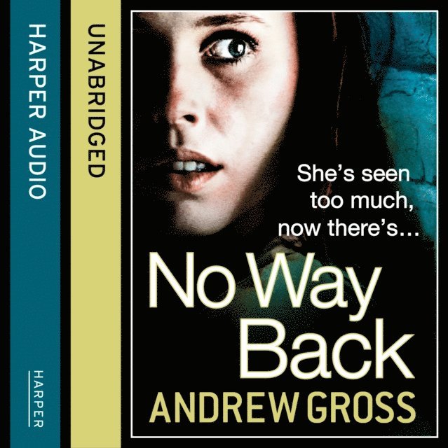 Andrew Gross - No Way Back, Ljudbok