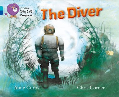 Anne Curtis - Diver, Häftad