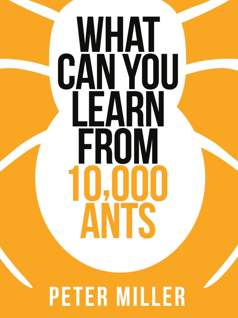 Peter Miller - What You Can Learn From 10,000 Ants, E-bok