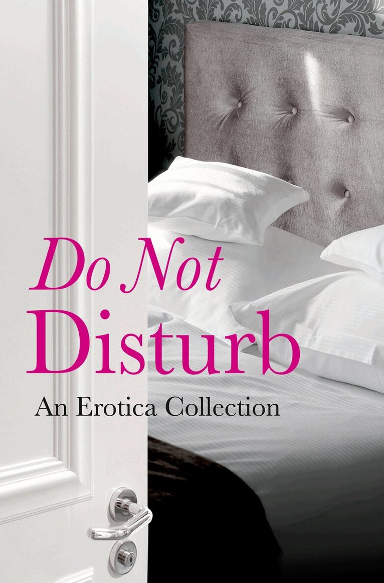 Rachel Kramer Bussel, de Fer, Elizabeth Coldwell, Flora Dain, Kathleen Tudor, Jason Rubis, Louise Hooker, Willow Sears, Tabitha Kitten, Cèsar Sanchez Zapata - Do Not Disturb, E-bok