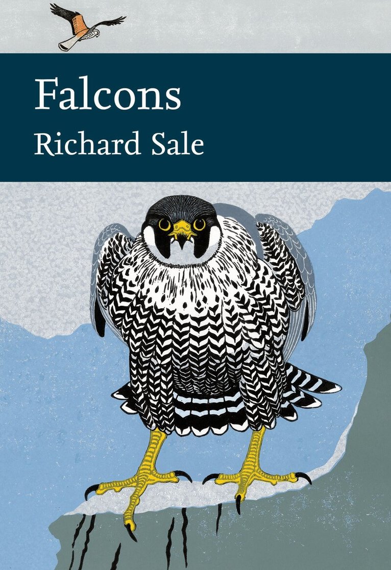 Richard Sale - Falcons, E-bok