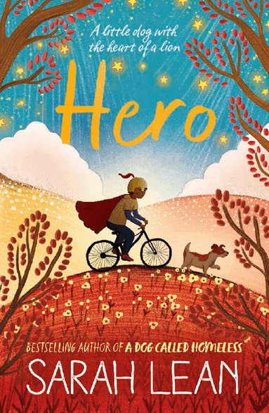 Sarah Lean - Hero, E-bok