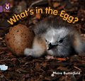 What's in the Egg?