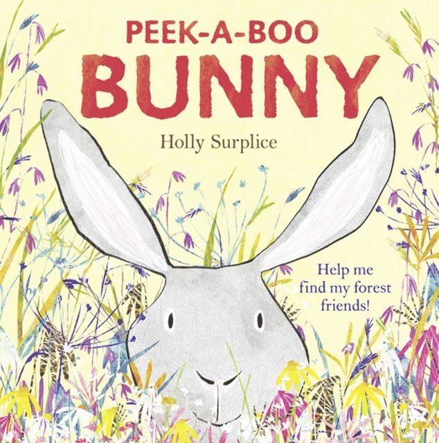 Holly Surplice - Peek-a-Boo Bunny (Read Aloud), E-bok