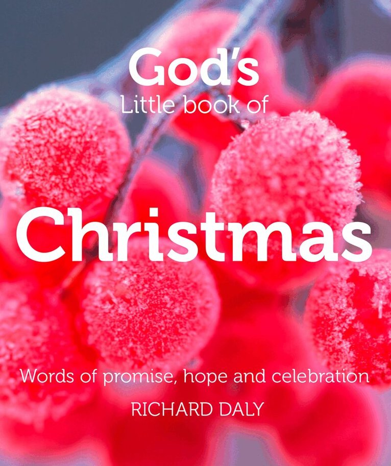 Richard Daly - God’s Little Book of Christmas, Häftad