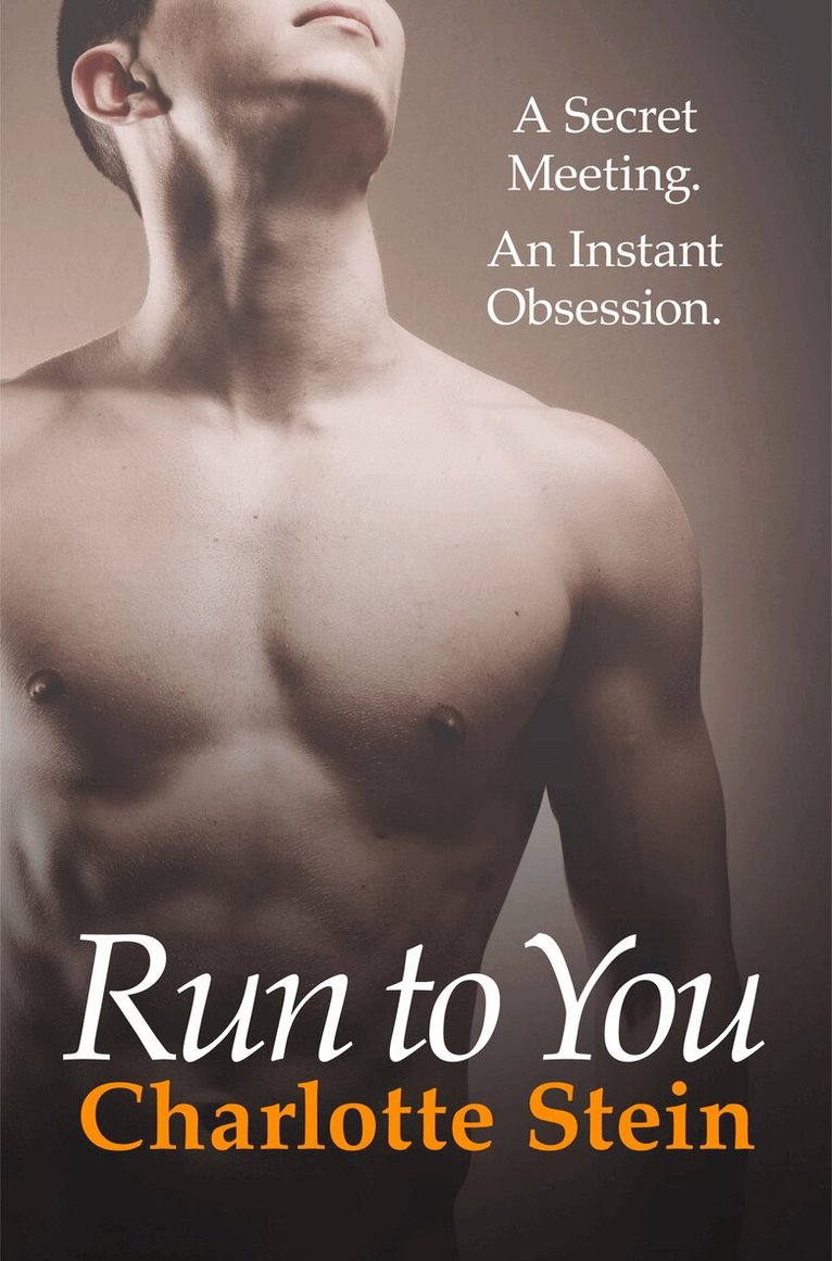 Charlotte Stein - Run To You, E-bok