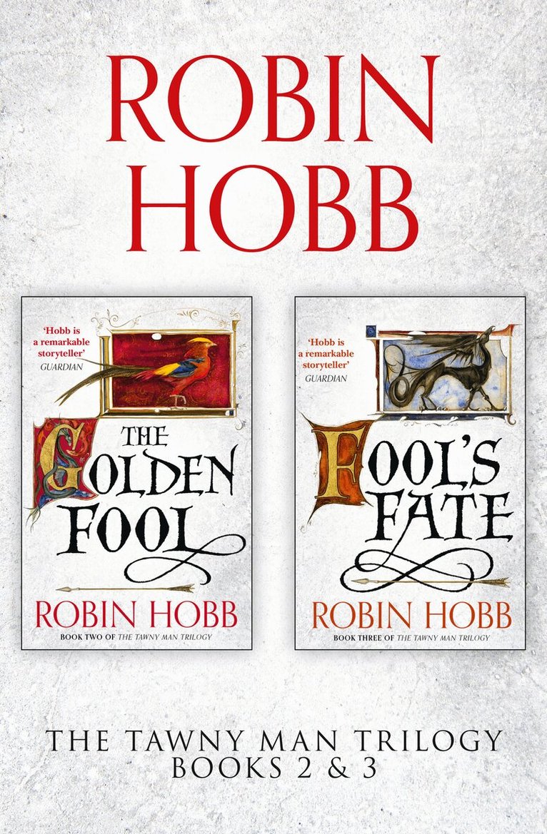 Robin Hobb - Tawny Man Series Books 2 and 3, E-bok