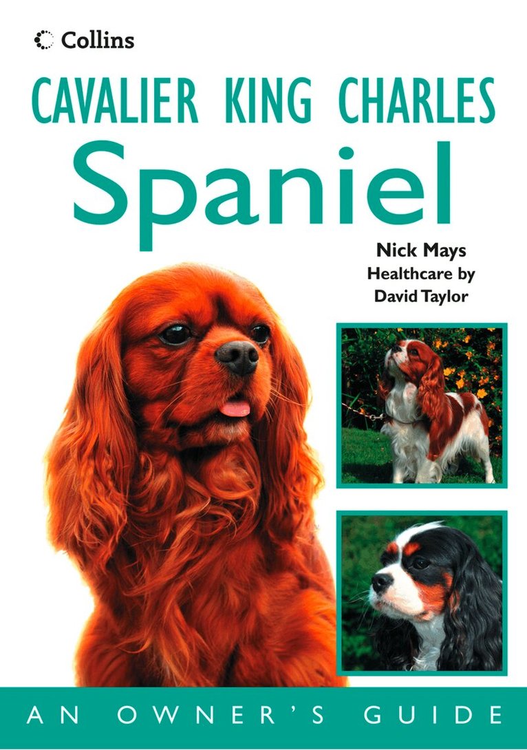 Nick Mays - Cavalier King Charles Spaniel, E-bok