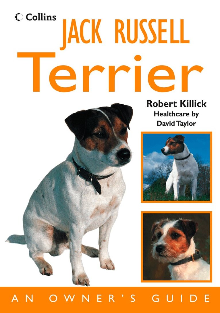 Robert Killick - Jack Russell Terrier, E-bok