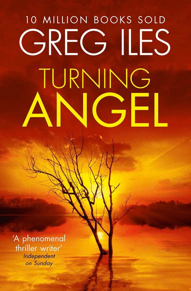 Greg Iles - Turning Angel, E-bok